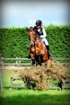 Willow Farm Event 30-08-10 307.jpg