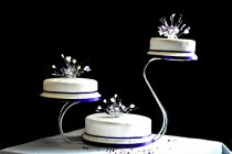 Wedding 4 (1003).jpg