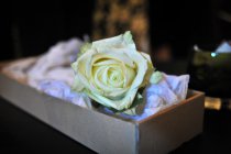 Wedding 4 (1017).jpg