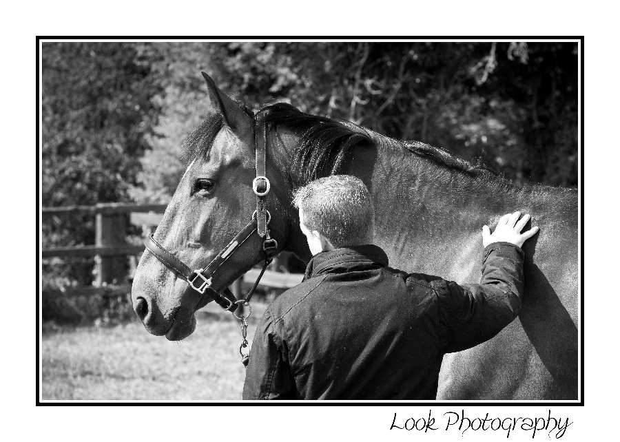 Berkshire Equine Photography